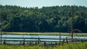 Jezioro Kołowinek - zdjęcie 23