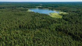 Jezioro Kołowinek - zdjęcie 20