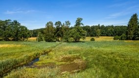 Jezioro Kołowinek - zdjęcie 18