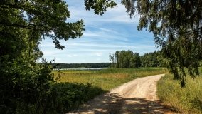 Jezioro Kołowinek - zdjęcie 16