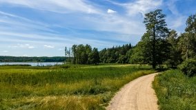 Jezioro Kołowinek - zdjęcie 15