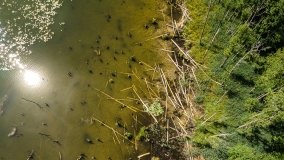 Jezioro Kołowinek - zdjęcie 13