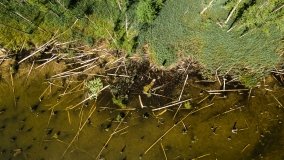 Jezioro Kołowinek - zdjęcie 12