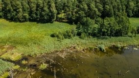 Jezioro Kołowinek - zdjęcie 11