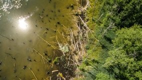 Jezioro Kołowinek - zdjęcie 10