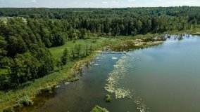 Jezioro Kołowinek - zdjęcie 6