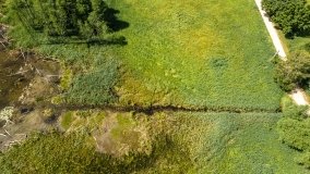 Jezioro Kołowinek - zdjęcie 5