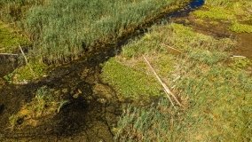 Jezioro Kołowinek - zdjęcie 3