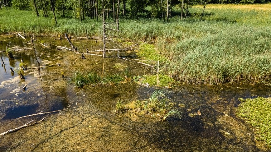 Jezioro Kołowinek - zdjęcie 1