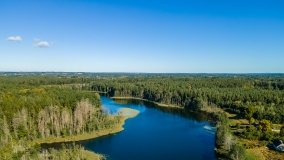 Jezioro Lisunie - zdjęcie 22