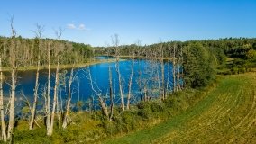 Jezioro Lisunie - zdjęcie 21