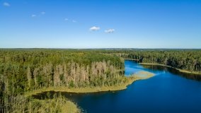 Jezioro Lisunie - zdjęcie 18