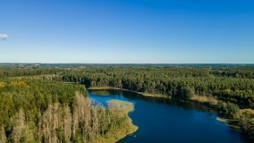 Jezioro Lisunie - zdjęcie 16