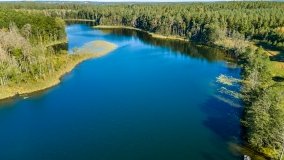 Jezioro Lisunie - zdjęcie 15