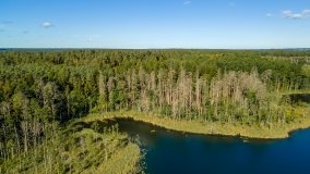 Jezioro Lisunie - zdjęcie 14