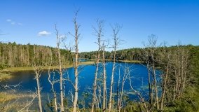 Jezioro Lisunie - zdjęcie 13