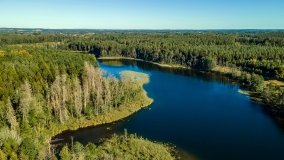 Jezioro Lisunie - zdjęcie 12