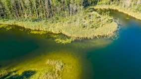 Jezioro Lisunie - zdjęcie 10