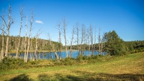 Jezioro Lisunie - zdjęcie 8