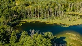 Jezioro Lisunie - zdjęcie 6