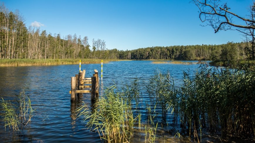 Jezioro Lisunie - zdjęcie 1