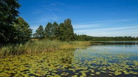 Jezioro Majcz Mały - zdjęcie 8