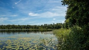 Jezioro Majcz Mały - zdjęcie 7