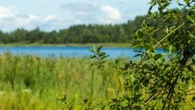 Jezioro Lemańskie - zdjęcie 14