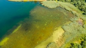 Jezioro Lemańskie - zdjęcie 11