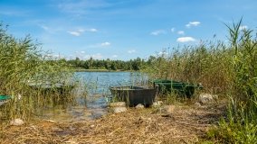 Jezioro Lemańskie - zdjęcie 8