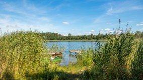 Jezioro Lemańskie - zdjęcie 7