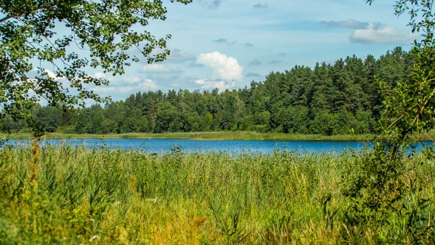 Jezioro Lemańskie - zdjęcie 1