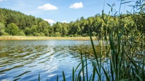 Jezioro Romanek - zdjęcie 14