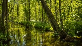 Jezioro Pogubie Małe - zdjęcie 6