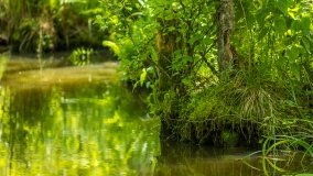 Jezioro Pogubie Małe - zdjęcie 5