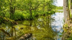 Jezioro Pogubie Małe - zdjęcie 4