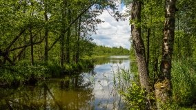 Jezioro Pogubie Małe - zdjęcie 3