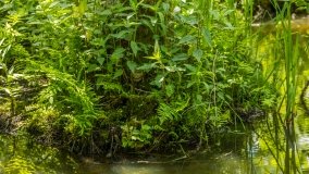 Jezioro Pogubie Małe - zdjęcie 2