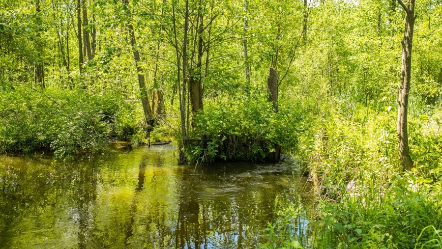 Jezioro Pogubie Małe - zdjęcie 1