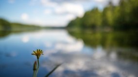 Jezioro Jegocinek - zdjęcie 12