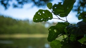 Jezioro Jegocinek - zdjęcie 11