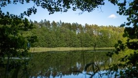 Jezioro Jegocinek - zdjęcie 4