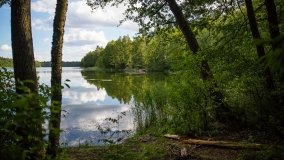 Jezioro Jegocinek - zdjęcie 3