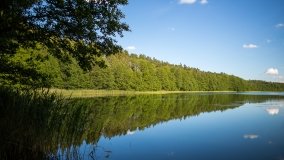 Jezioro Jegocinek - zdjęcie 2