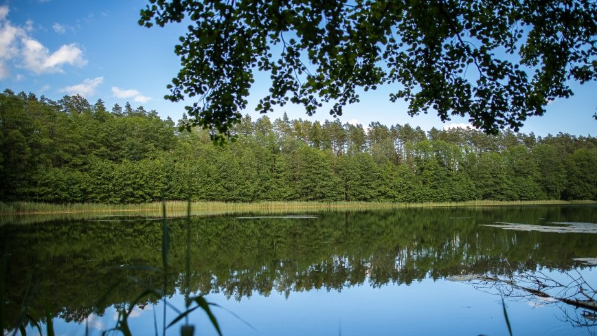 Jezioro Jegocinek - zdjęcie 1