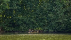 Jezioro Krzywy Róg - zdjęcie 16