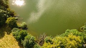 Jezioro Krzywy Róg - zdjęcie 12