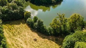 Jezioro Krzywy Róg - zdjęcie 7