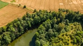 Jezioro Krzywy Róg - zdjęcie 6