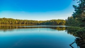 Jezioro Wesołek - zdjęcie 28